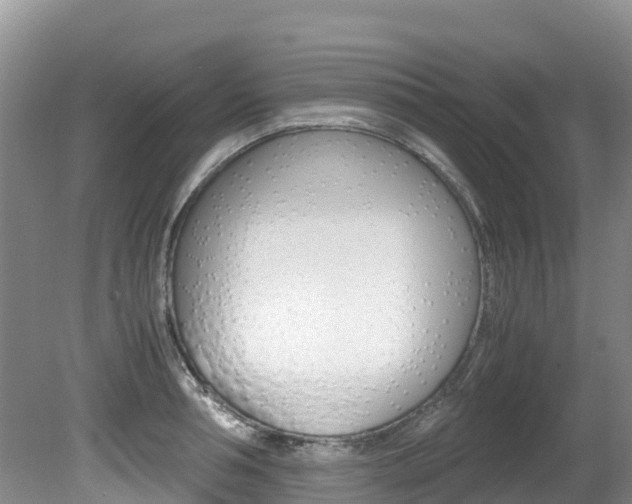 X0000080710994200612150858