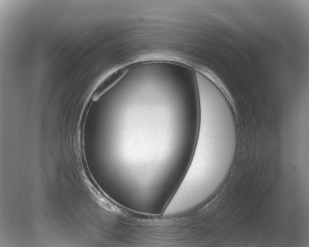 X0000080710996200612150858