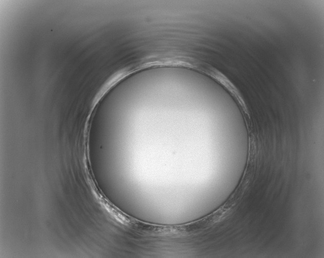 X0000080711002200612150858
