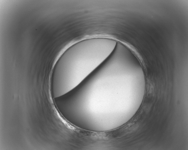 X0000080711006200612150858