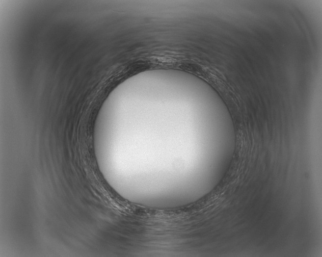 X0000080711009200612150857