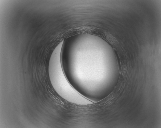 X0000080711010200612150857