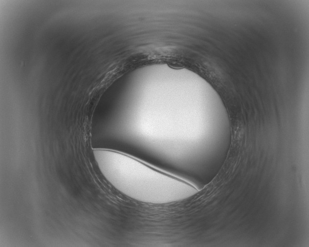 X0000080711012200612150857