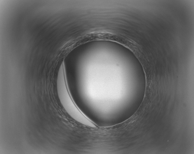X0000080711014200612150857
