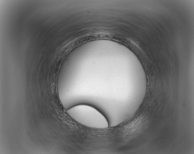 X0000080711015200612150857