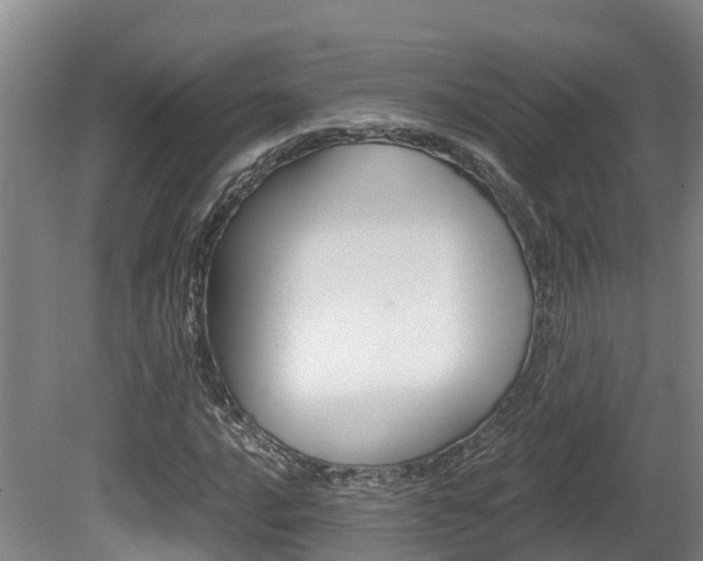 X0000080711016200612150857