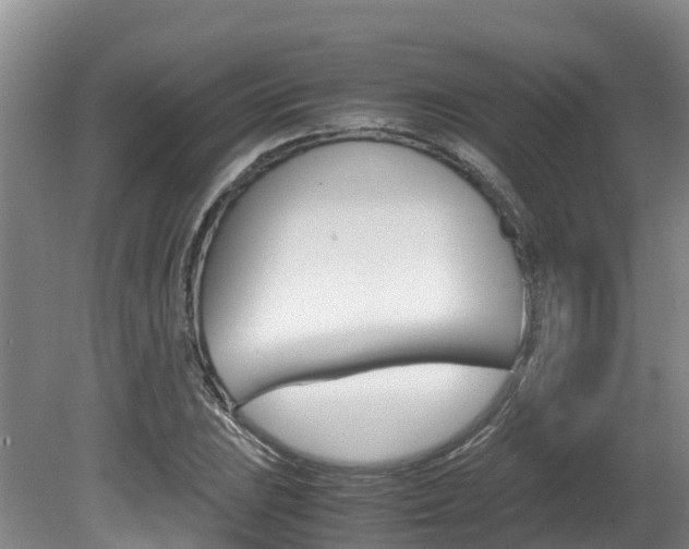 X0000080711023200612150857