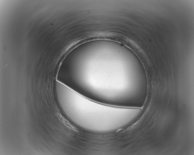 X0000080711025200612150857