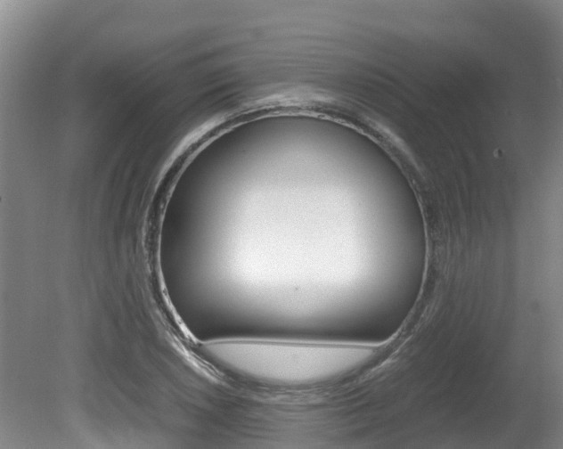 X0000080711026200612150857