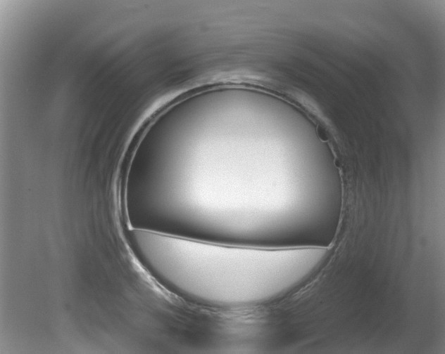 X0000080711032200612150857
