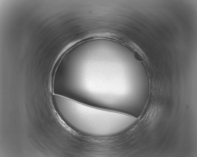 X0000080711036200612150857
