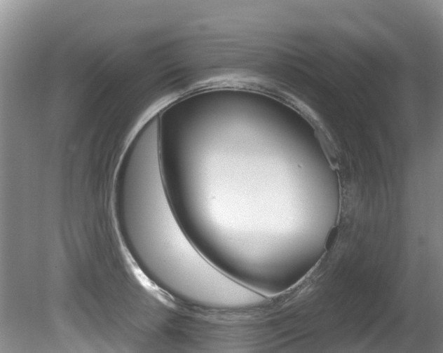 X0000080711042200612150857