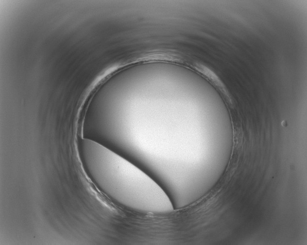 X0000080711043200612150857