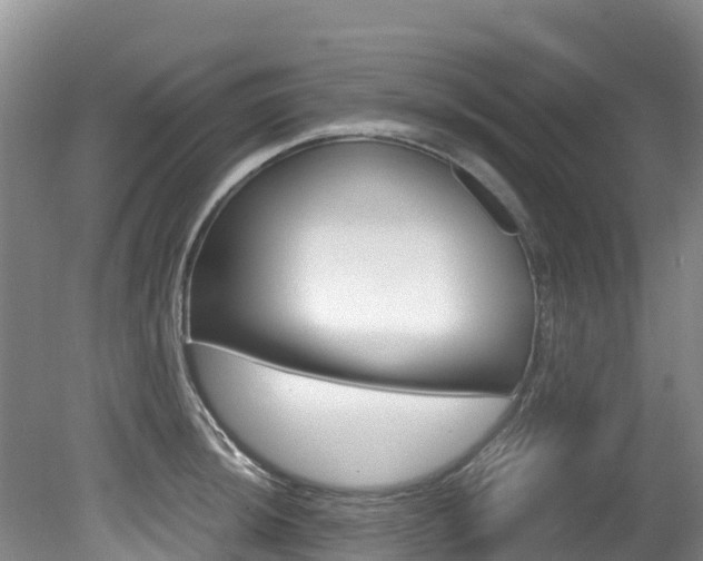 X0000080711044200612150857