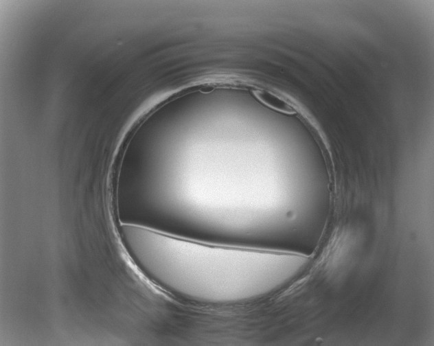 X0000080711045200612150857
