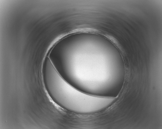 X0000080711046200612150857