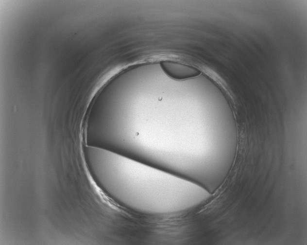 X0000080711047200612150857