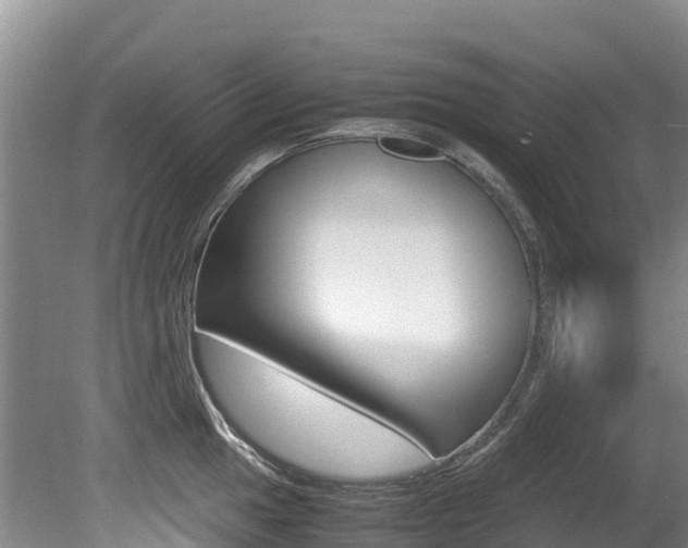 X0000080711049200612150857