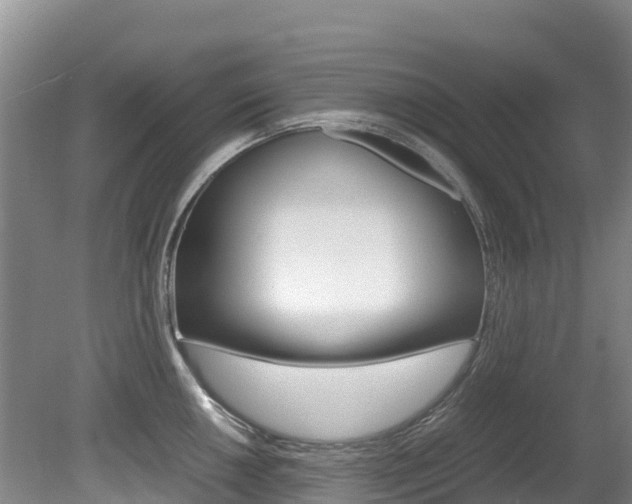 X0000080711050200612150857