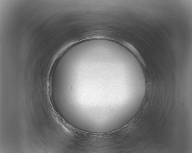 X0000080711051200612150857