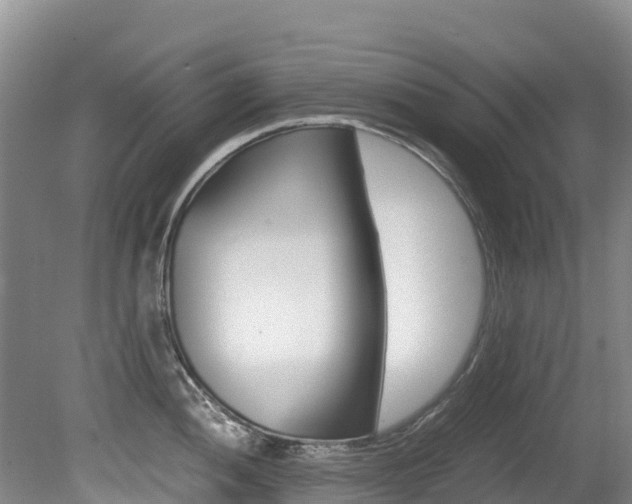 X0000080711052200612150857