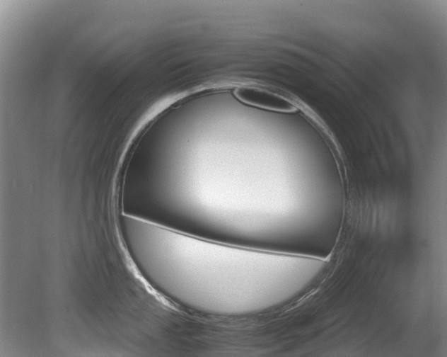 X0000080711053200612150857