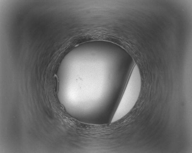 X0000080711057200612150857