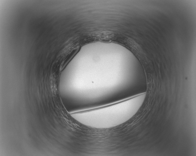 X0000080711058200612150857