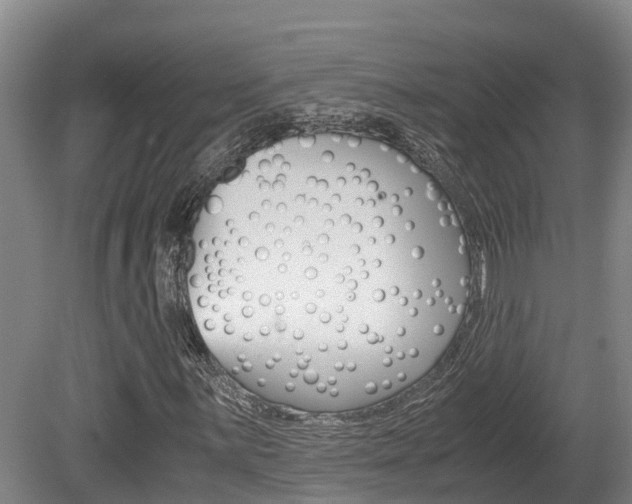 X0000080711059200612150857
