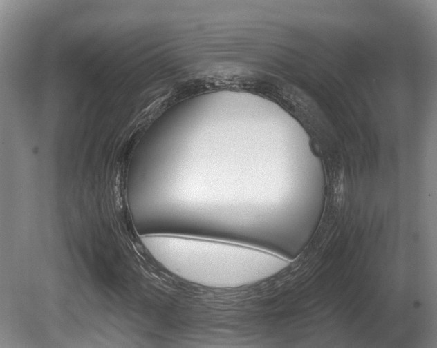 X0000080711060200612150857