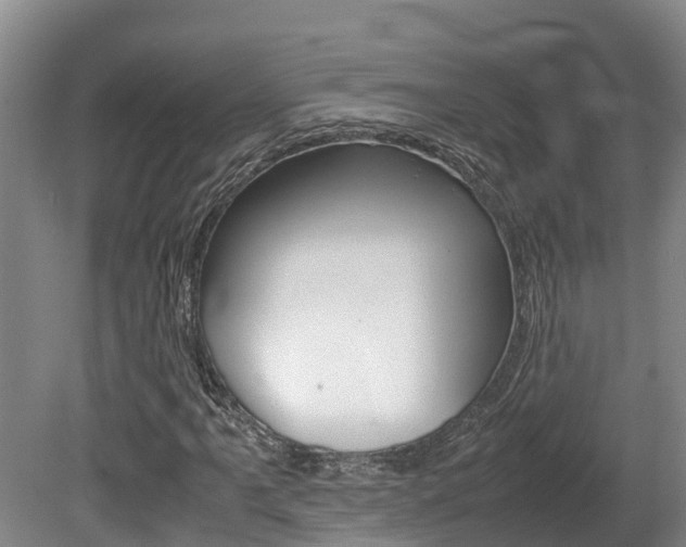 X0000080711061200612150857