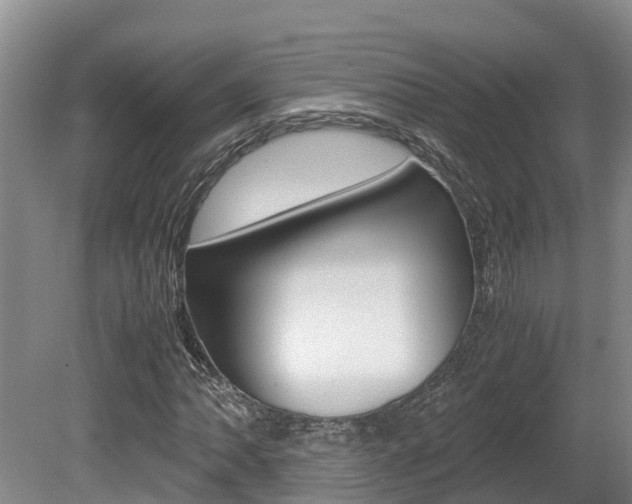 X0000080711062200612150857