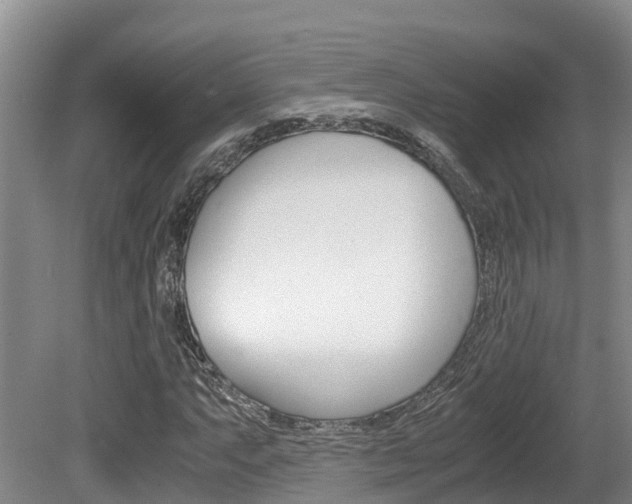 X0000080711063200612150857