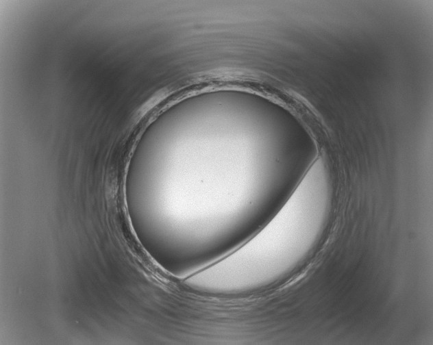 X0000080711065200612150857