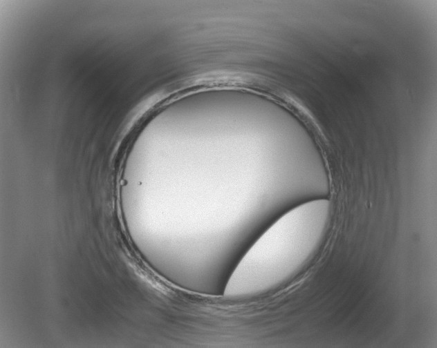 X0000080711075200612150856