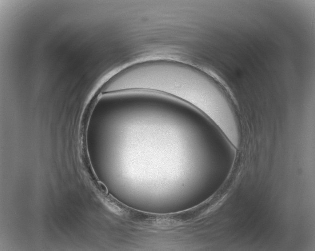 X0000080711077200612150856