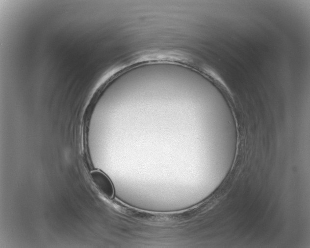 X0000080711079200612150856