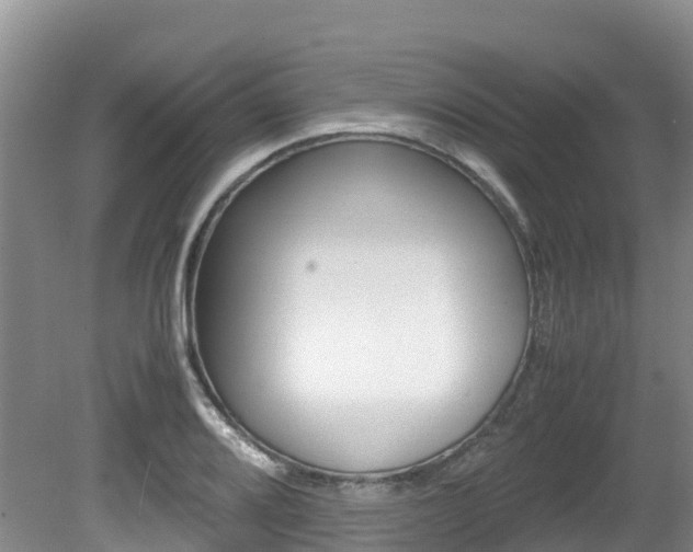 X0000080711080200612150856