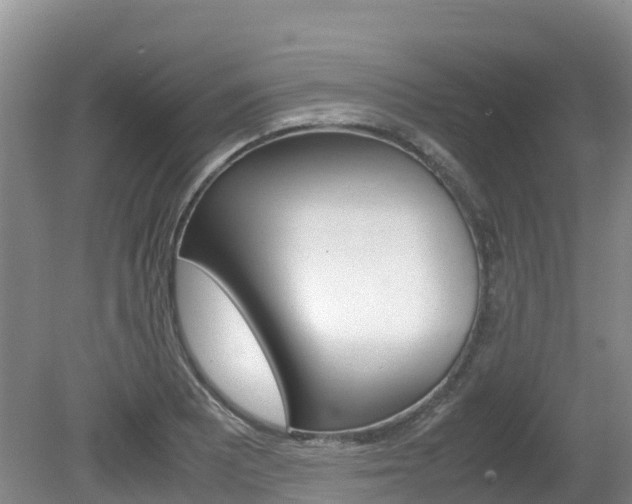 X0000080711081200612150856