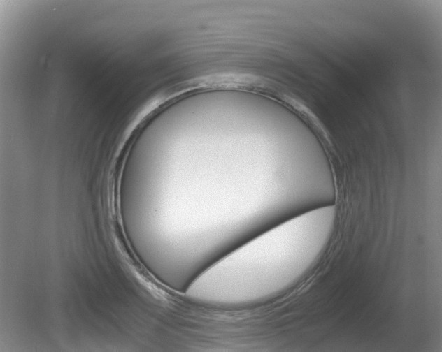 X0000080711083200612150856