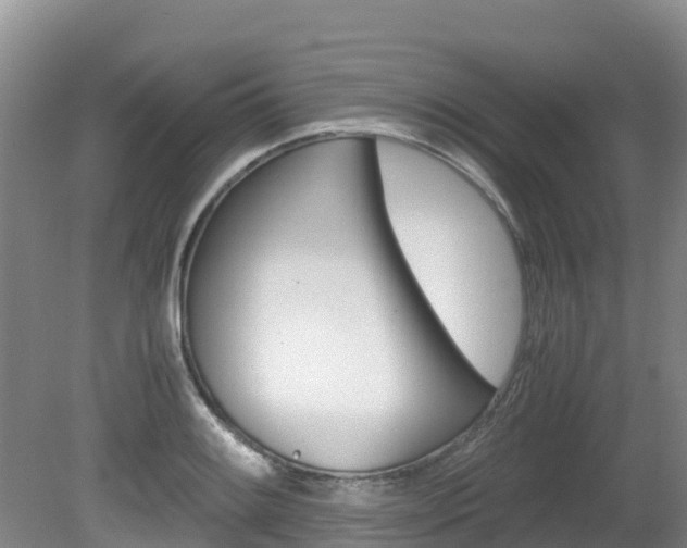 X0000080711084200612150856