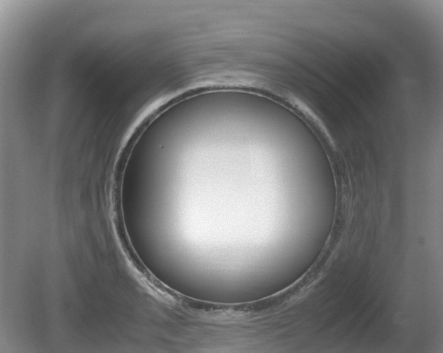 X0000080711085200612150856