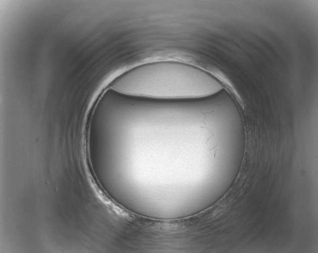 X0000080711088200612150856