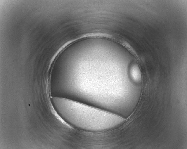 X0000080711092200612150856
