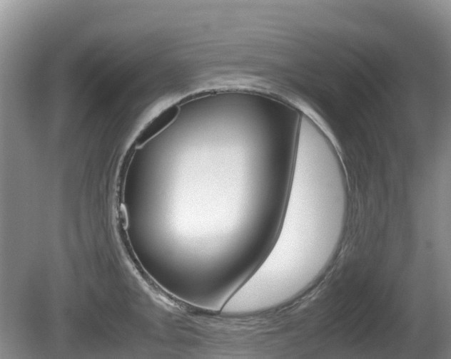 X0000080711093200612150856