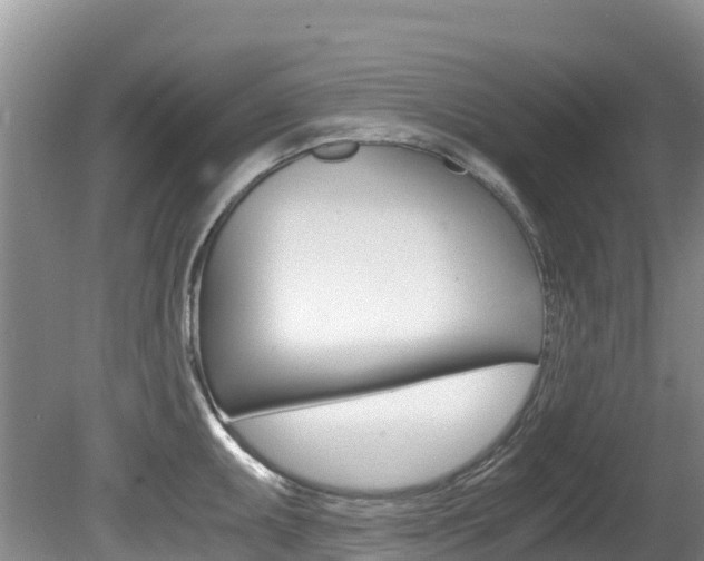 X0000080711095200612150856