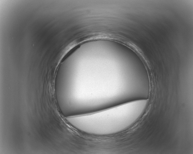 X0000080711097200612150856