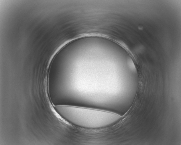 X0000080711100200612150856