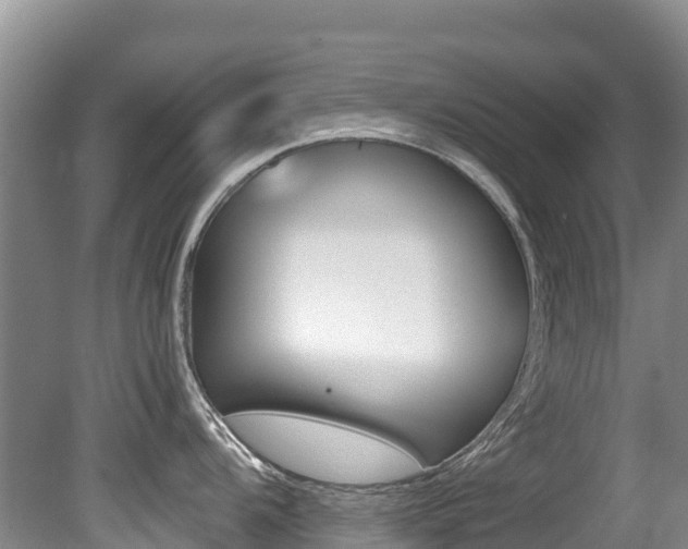 X0000080711104200612150856