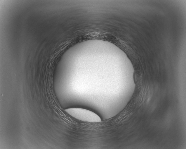 X0000080711105200612150855